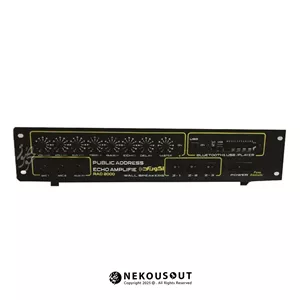 اکو آمپلیفایر اهمی ولتی اکو رعد Echo Rad 2000