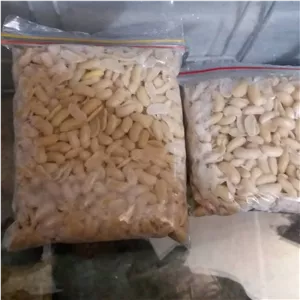 باقالی کشاورزی پاک شده