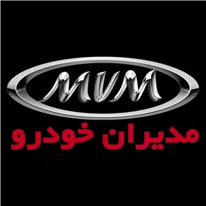 جعبه فرمان ام وی ام X33 