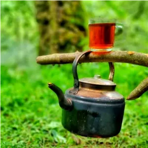 چای سوزنی بهاره محصول 1405در بسته های (500)گرمی