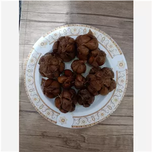 سیر ترشی
