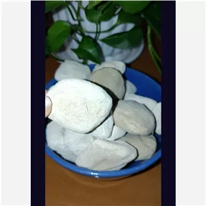 کشک گوسفندی