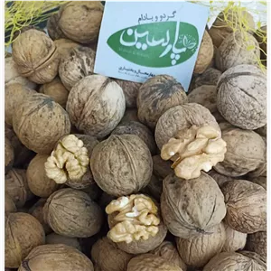 گردوی پوست کاغذی چهارمحال و بختیاری، مستقیم از دل باغات