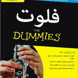 فلوت _ دامیز