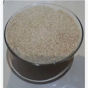 کنجد سفید نیم کیلویی اعلی ارگانیک شفا 