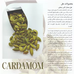 هل ممتاز اکبر بنفش (درجه 1)1مثقال و2 مثقال 