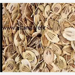 گلپر سالم بسته 1 کیلوگرمی