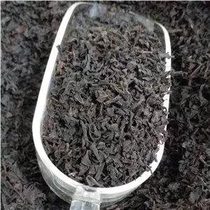 چای بهاره ممتاز محصول لاهیجان بهار 1405 در بسته های (500)گرمی