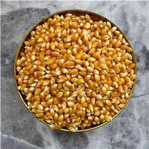 ذرت مخصوص پفیلا ( بسته 500 گرمی ) ارسال رایگان