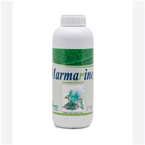 کود جلبک دریایی مارمارین IFTC اردن