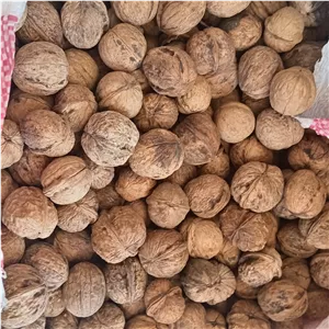 گردو درجه 1