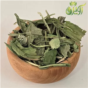 برگ کاسنی