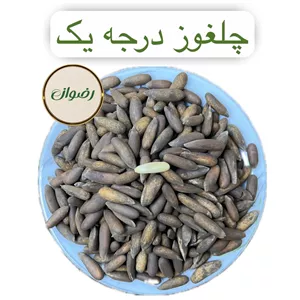 چلغوز درجه یک افغانستان (500) گرم