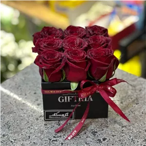 باکس گل مینیمال رز قرمز 9شاخه (آلپینا گلفروشی تربت حیدریه)
