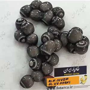 قیمت و خرید بهترین خاویار سه صفر0003 صفر 