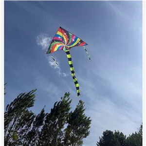 بادبادک مدل کایت ستاره ای با کیفیت