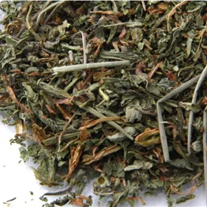 برگ کاسنی
