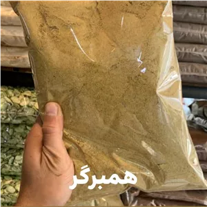 ادویه همبرگر کلاسیک 500 گرم 