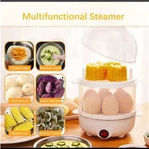 تخم مرغ آب پز دو طبقه سیلور کرست مدل SC-3102