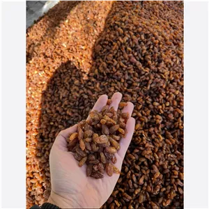 کشمش آفتابی لوکس(خوراکی و آبگیری)