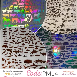 طلق شفاف PM14