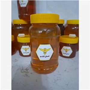 عسل بهار (هدیه زنبورها)