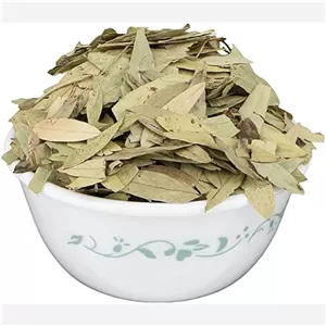برگ سنا گیاهان دارویی سید باقر حکیم استاد عابد