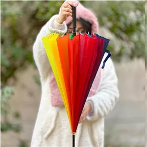 چتر رنگین کمونی