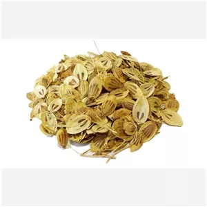 گلپر درشت ، گیاهان دارویی سید باقر حکیم ، استاد عابد (نیاز به ویرایش)