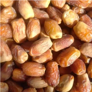 خرما قصب درجه یک صادراتی 100 گرمی 1405