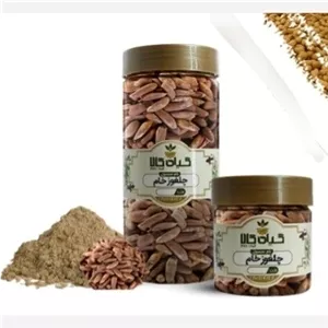 دانه کاج (چلغوز خام) بسته بندی
