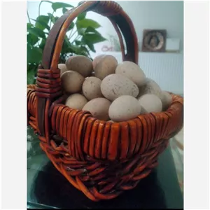 تخم کبک ارگانیک خوراکی 