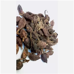 هل باد سبز اعلاء 20 گرمی