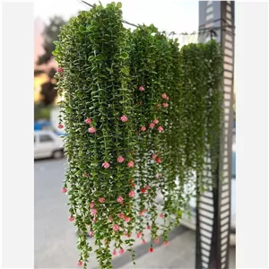 شمشاد 16 خانه گلدار