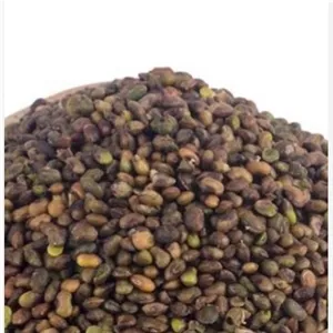 مغز پسته کوهی بنه 250 گرمی