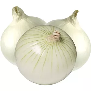 پیاز سفید