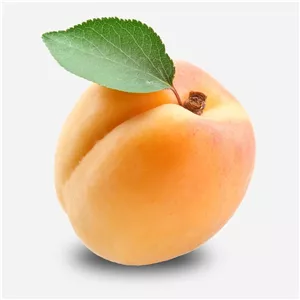زردآلو شیرین و رسیده میوه زرالو تازه اعلا، درشت و آبدار درجه یک 