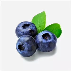 بلوبری تازه و درشت میوه با کیفیت ممتاز و طعم عالی آنتی اکسیدان 