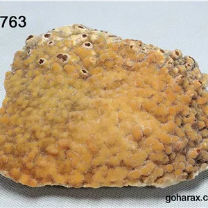 سنگ زینتی آراگونیت طلاییcode:0763