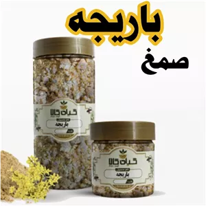 صمغ باریجه خشک  گیاه کالا 