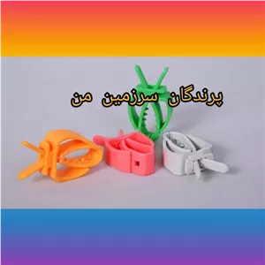گیره کلیپسی پرنده کف دریا یک عددی