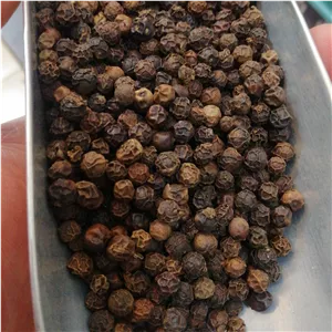 فلفل سیاه هندی نساییده (دانه درشت) وزن 100گرم (پس کرایه)