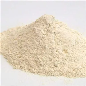 پودر پیاز 100 گرمی،پودر پیاز مرغوب 