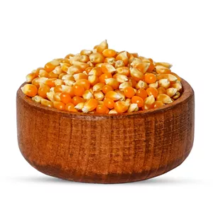 ذرت پفیلا خام تازه و درجه یک ( ذرت پاپ کورن ) وزن 250 گرم