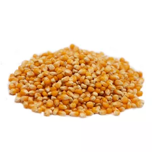 ذرت خشک 1 کیلویی