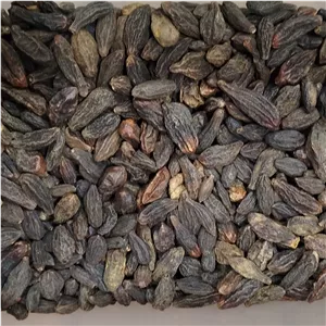  200 گرم هلیله سیاه یا هاری تاکی