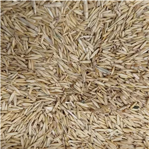 700 گرم جو دوسر 