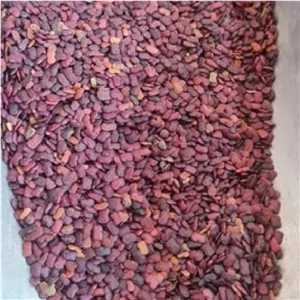 عدس الملک درجه 1250گرم