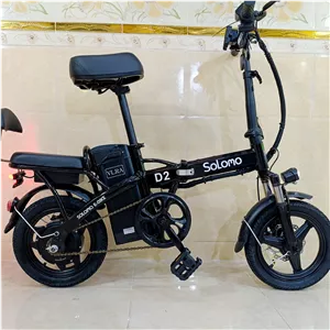 دوچرخه برقی تاشو آستر ASTER مدل D2 رنگ مشکی black