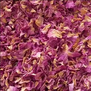 گل محمدی گلبرگ خوش عطر و بو 